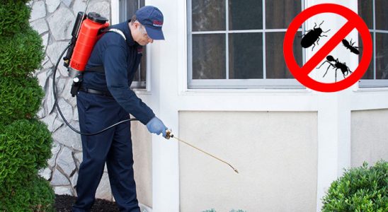 Yunusemre Kemirgen İlaçlama böcek ilaçlama ve haşere kontrolü — ilaclama-tr.com